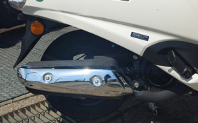 SUZUKI ADDRESS V125 DP12H