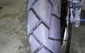 KAWASAKI KLX250 2025 LX250E