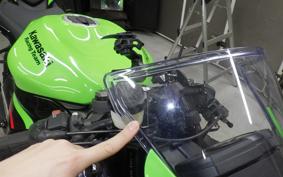 KAWASAKI NINJA ZX-6R A 2021 ZX636G