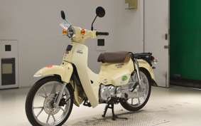 HONDA C110 SUPER CUB