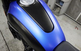 DUCATI SCRAMBLER ICON 2024