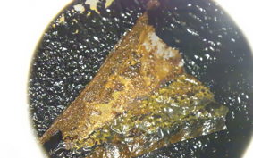 HARLEY FXDL1690 2016