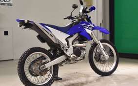 YAMAHA WR250R 2022 DG15J