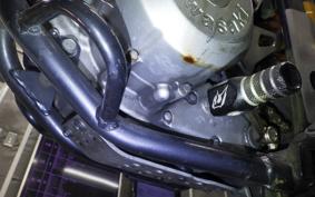 KAWASAKI KLX250D TRACKER 2024 LX250E