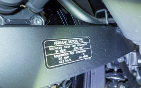 KAWASAKI NINJA 400 2024 EX400G