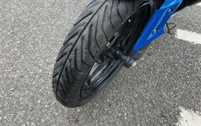 KAWASAKI NINJA 250 EX250L