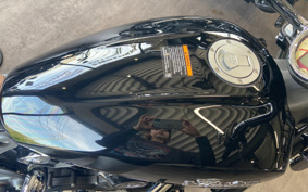 INDIAN SUKAUTO 2017 MS