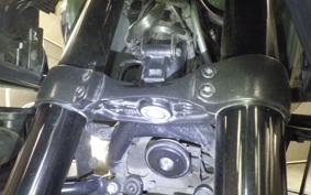 HARLEY PAN AMERICA 1250 S 2021
