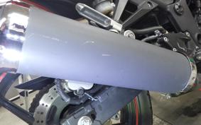 KAWASAKI NINJA 250R 2009 EX250K