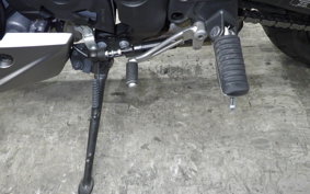 KAWASAKI NINJA 1000SX 2024 ZXT02K