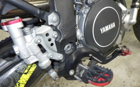 YAMAHA WR250X 2020 DG15J