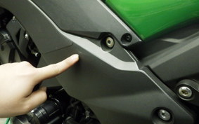 KAWASAKI Z1000 Gen.5 2018 ZXT00W