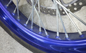 KAWASAKI KLX250D TRACKER X 2025 LX250V