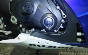 SUZUKI GSX-R1000 2010