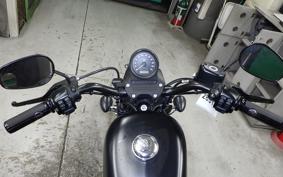 HARLEY XL883N 2019