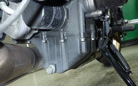 YAMAHA XSR900 2024 RN80J