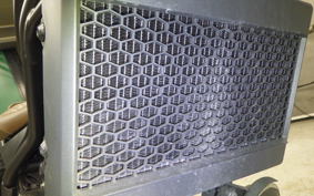 HONDA REBEL 250 S 2002 MC49