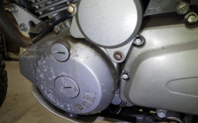 KAWASAKI SUPER SHERPA 2021 KL250G