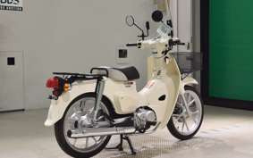 HONDA C110 SUPER CUB 2012 JA59