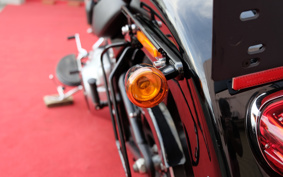 HARLEY FLSTFB 2011 JN5