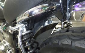 KAWASAKI W800 2019 EJ800B