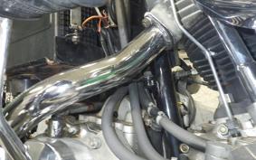 OTHER UNREGISTERED MODEL by BDS1200 2025