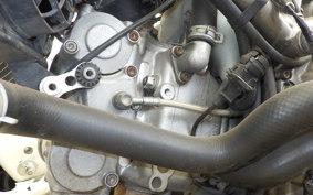 DUCATI MONSTER S4 2002