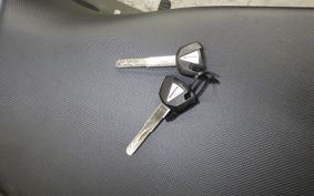 KAWASAKI NINJA1100SX 2025 ZXT10H