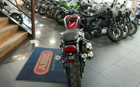 TRIUMPH  TRIUMPH  STREET  SCRAMBLER  2021 DAD78G