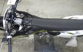 TRIUMPH TF250-X 2025