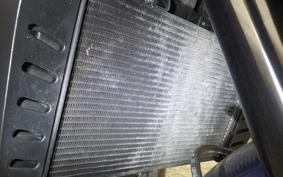 HONDA HAWK 11 2024 SC85