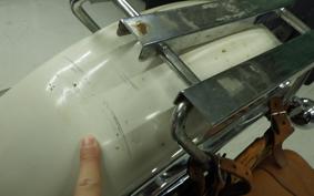 OTHER +UNREGISTERED MODEL by BDS1200 2010