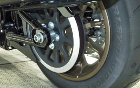 HARLEY FXLRST1920 2025