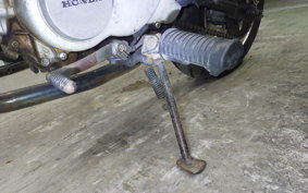 HONDA GORILLA 2024 Z50J