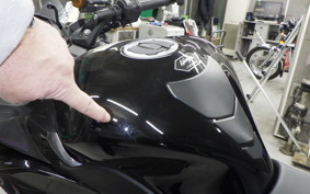 KAWASAKI NINJA1100SX 2025 ZXT10H