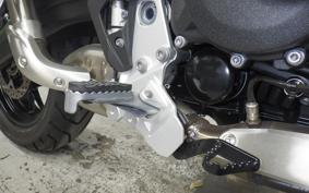 BMW F800GS 2024