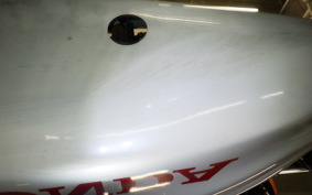 HONDA HORNET 250 2024 MC31