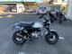 Фото Honda MONKEY 125 с японского аукциона