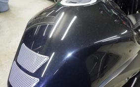 SUZUKI GSX250 R