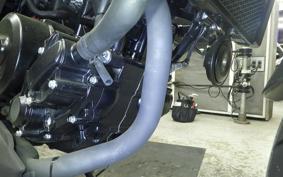 BENELLI レオンチーノ250