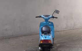 YAMAHA BELUGA 50 5G6