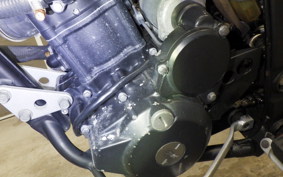 KAWASAKI KLX250D TRACKER X 2025 LX250V