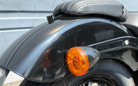 HARLEY FXBBS 2021 YYK