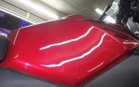 SUZUKI Vｽﾄﾛｰﾑ250