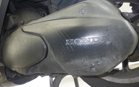 HONDA FAZE MF11