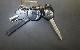 HONDA DIO Gen.6 AF68