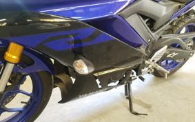 YAMAHA YZF-R25 RG43J