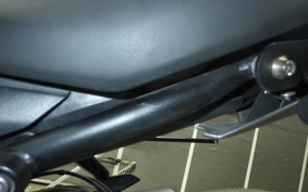 TRIUMPH TRIDENT 660 2022
