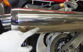 YAMAHA TRX850 1999 4NX