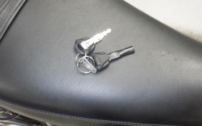 TRIUMPH SPEED TWIN 2024